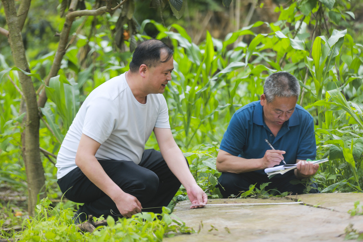 农村农技随访工作开展指南：步骤、方法和案例