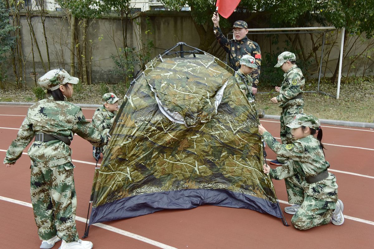 写一篇项目申报与管理平台的设计与实现的研究背景
