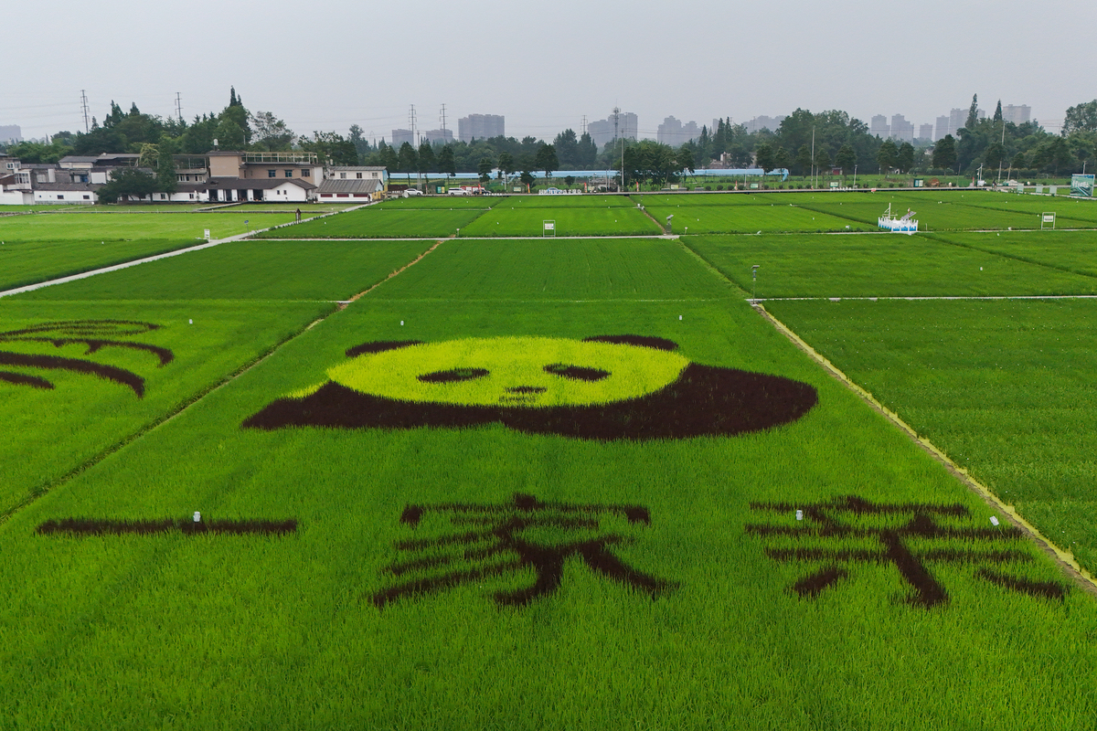 成都2022年有哪些计算机学校