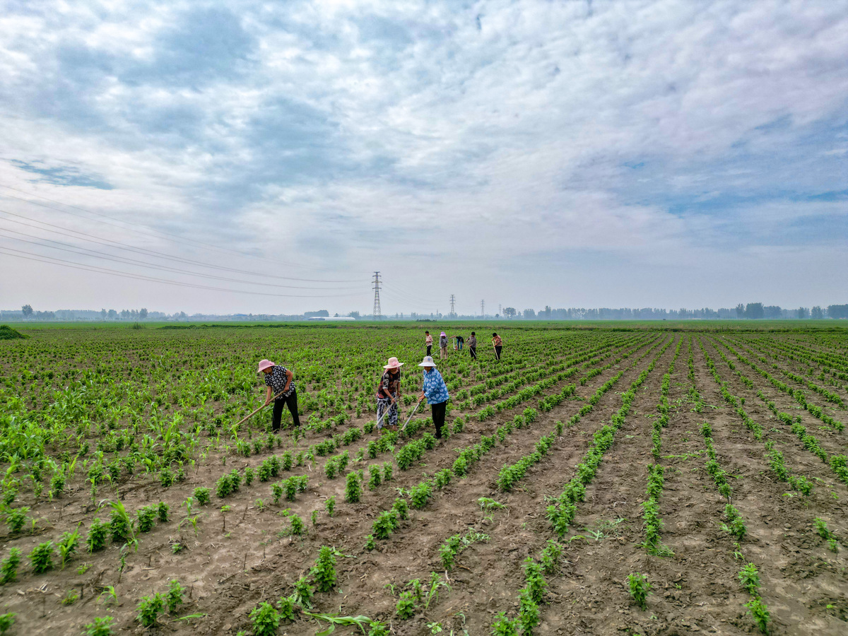 作物生产技术专业怎么样？用发