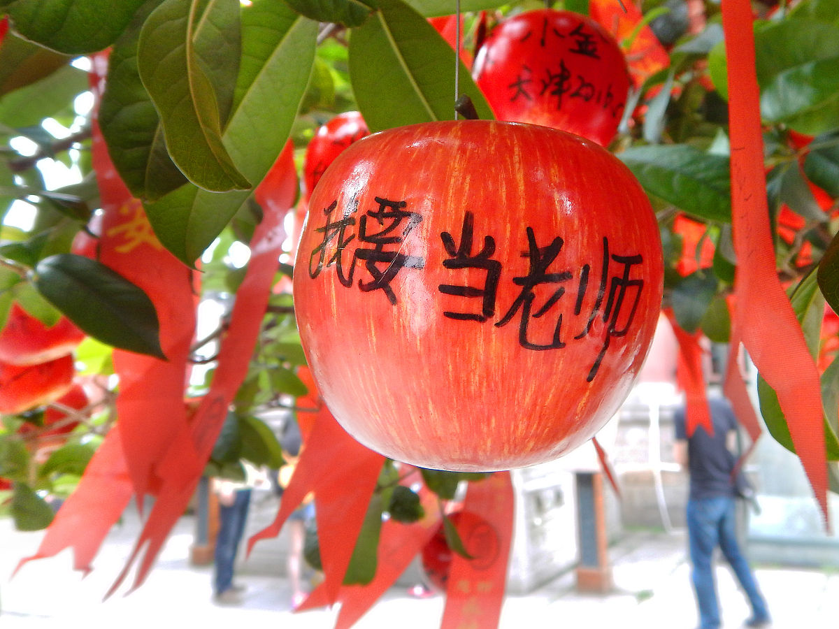 四年级作文：我最爱的老师