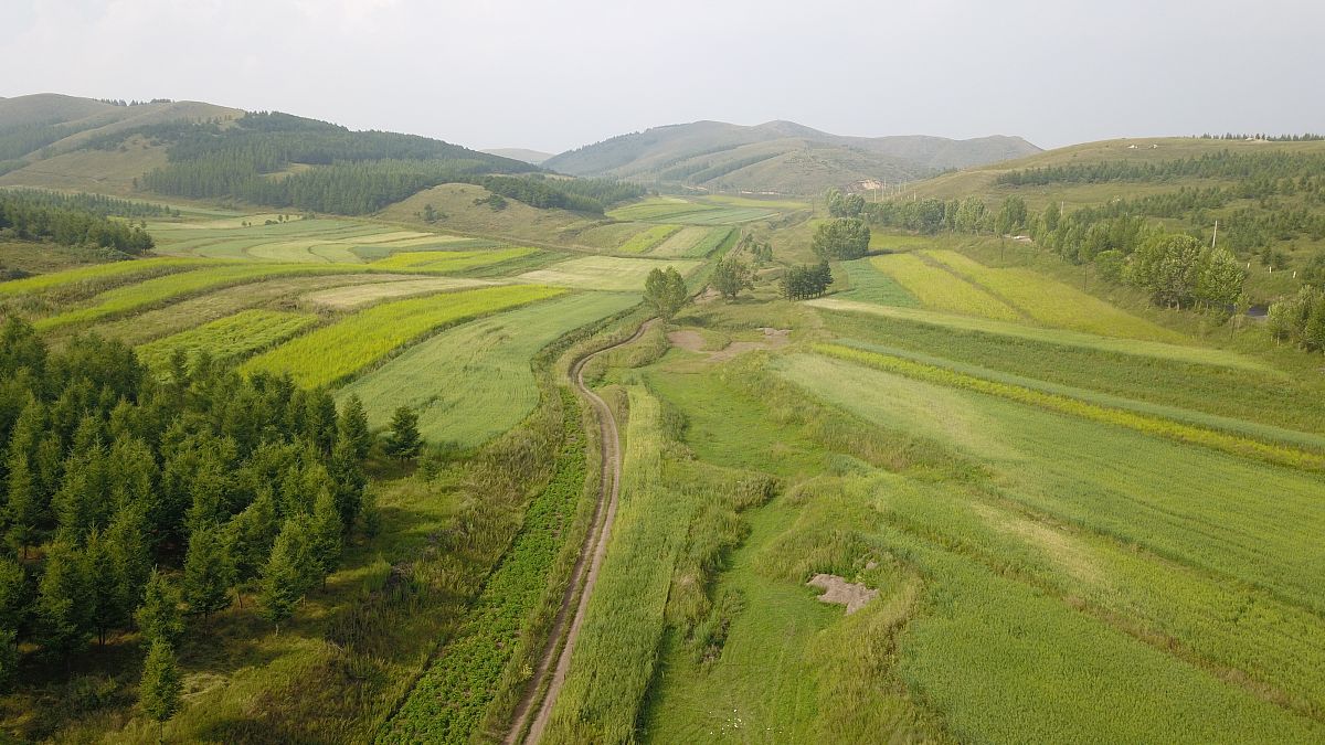 2021年8月15日,内蒙古呼和浩特,座落在大青山生态保护区内黄花窝铺村