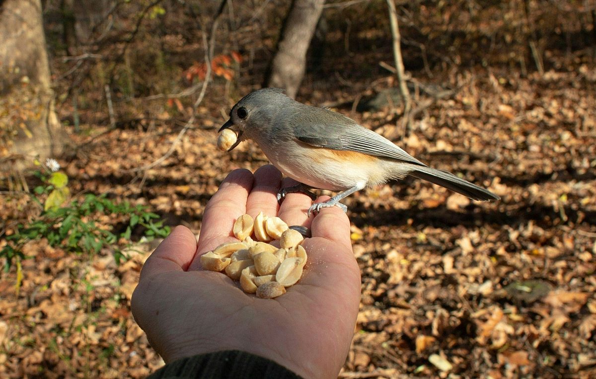 我每天下班回家无事可做怎么回复呢