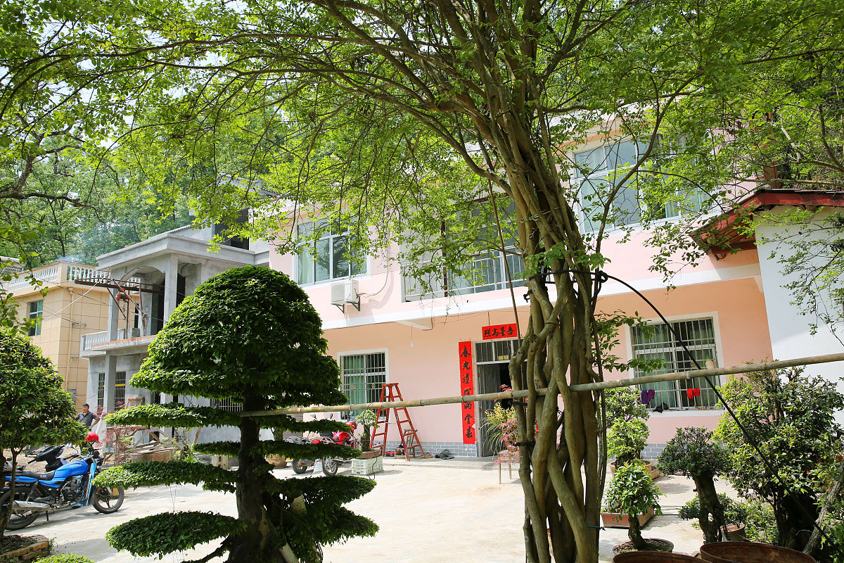 重庆市茂森中等职业学校园林技术专业就业前景分析