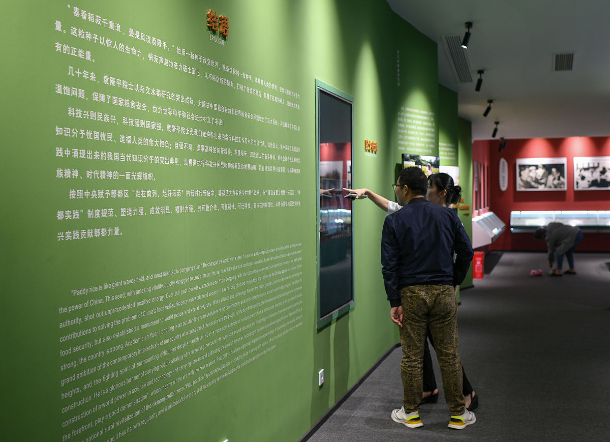 Museum vs. Sports Arena: Why I Choose the Museum for a School Trip