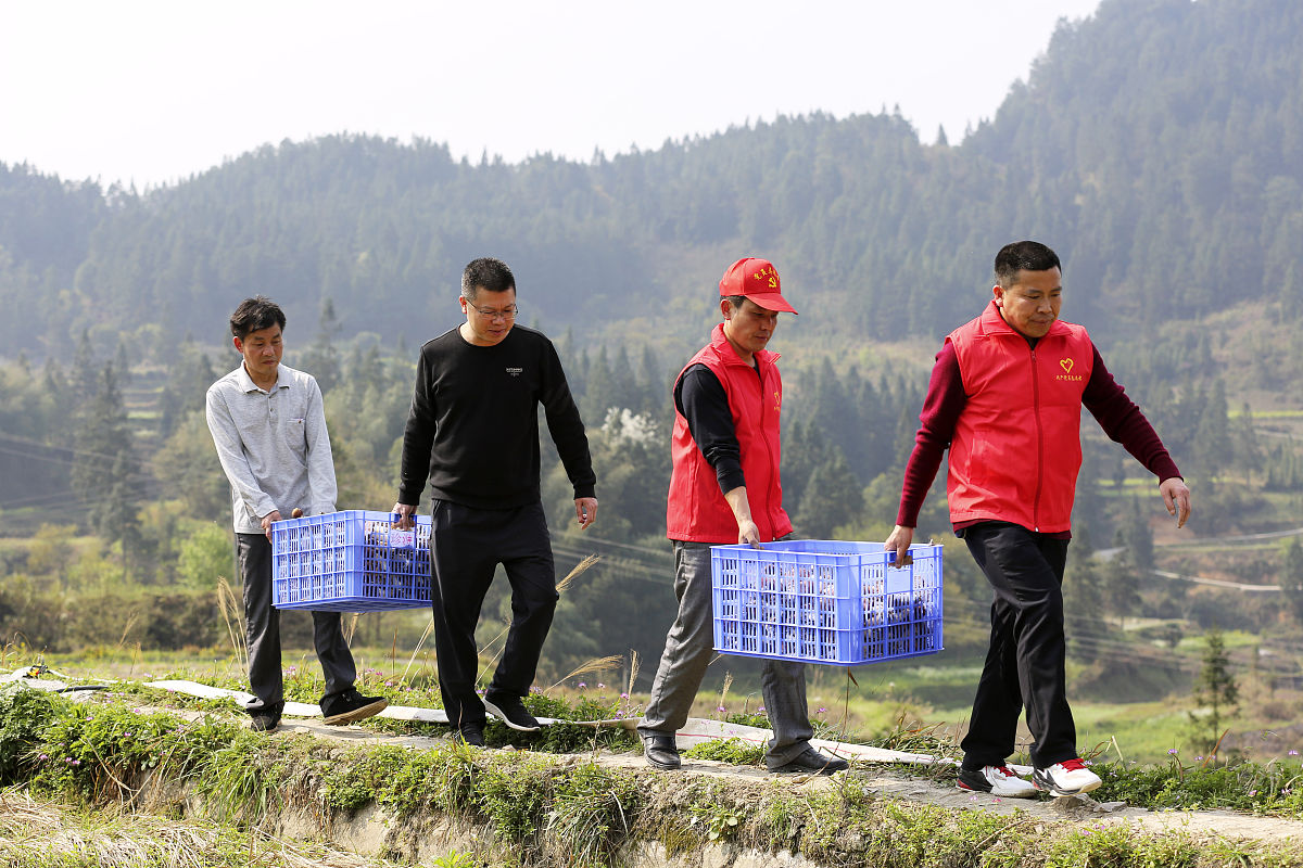 仁怀市百姓遇到困难怎么办？寻求媒体帮助指南