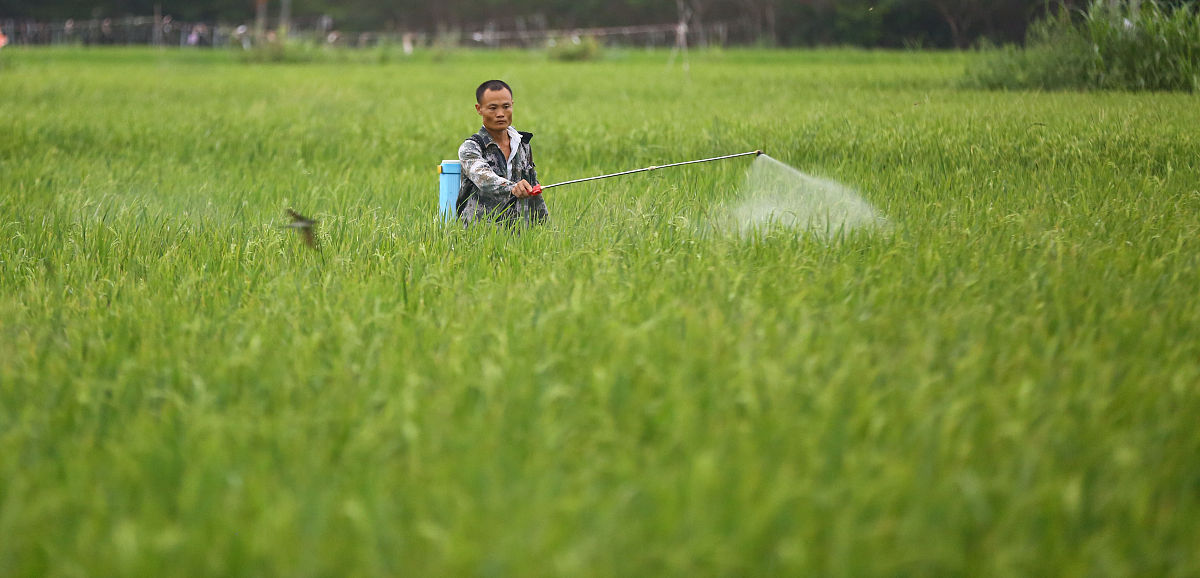 二甲戊灵喷施效果与土壤墒情关系