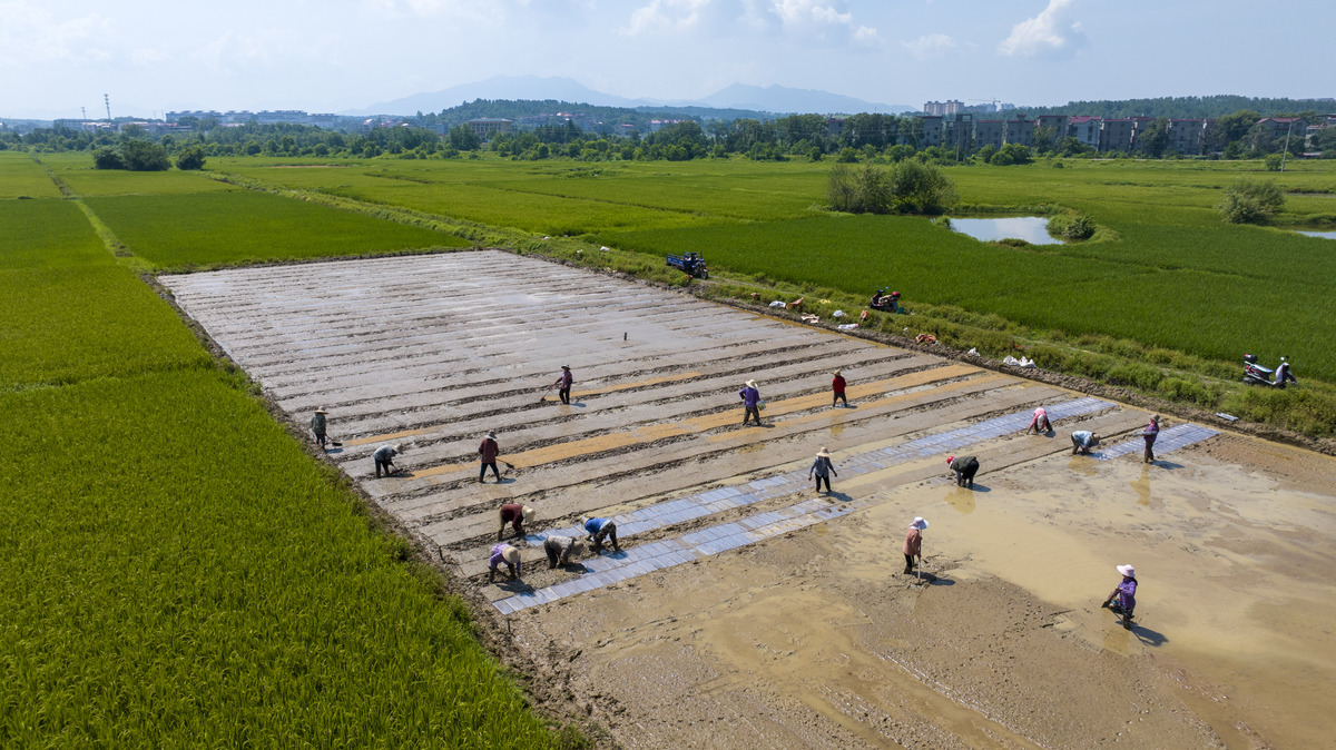 探寻门村水环境现状与门屯甘蔗‘双高’基地水利设施建设：调研活动