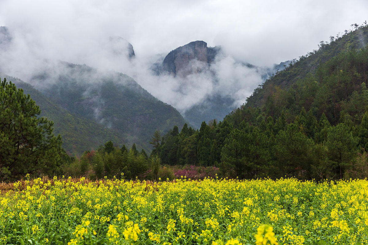 春雨文词优美的作文
