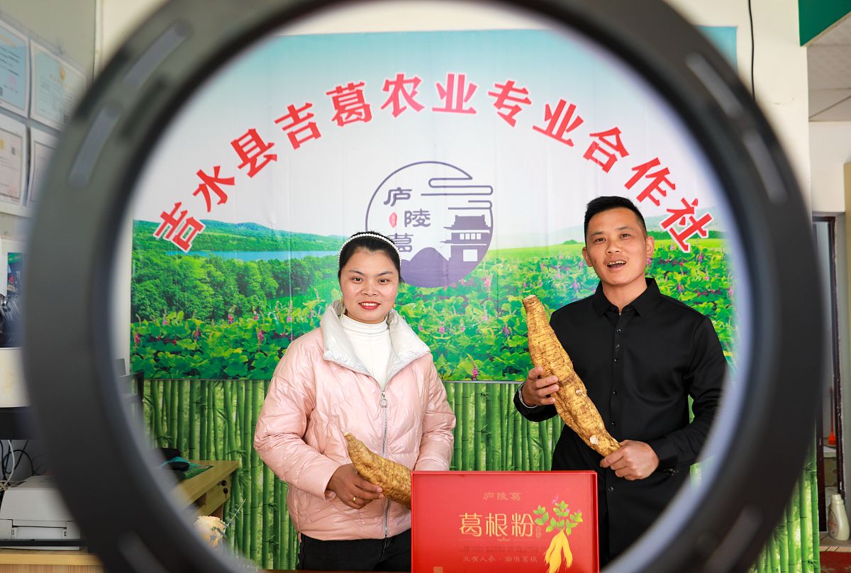 铁棍山药直播电商：个人IP助力农产品销售新模式