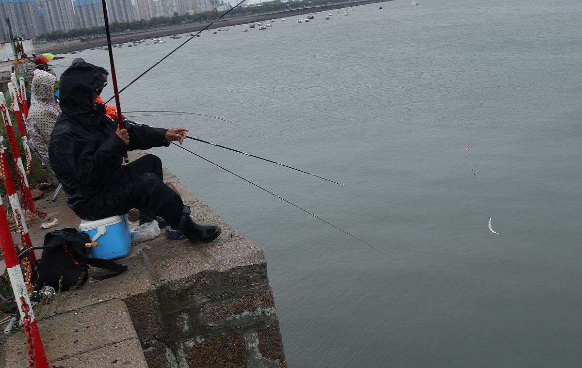 钓鱼技巧：从新手到高手，叔叔教我的钓鱼秘诀