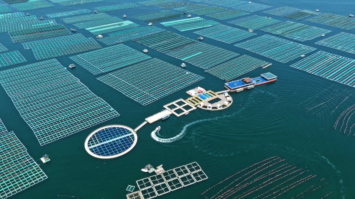 礁岛创新储能方案设计：高效利用太阳能、潮汐能和风能