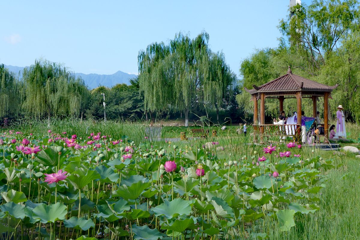 宝鸡高中毕业读中专学校用发散