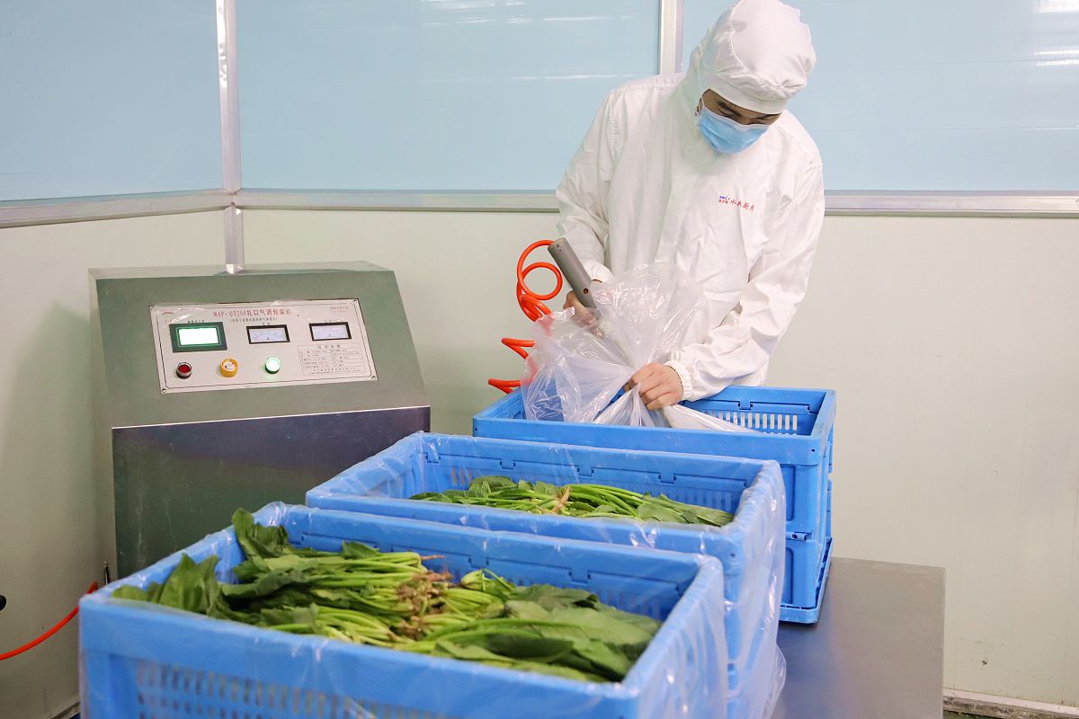 农产品保鲜与加工专业发展前景如何？