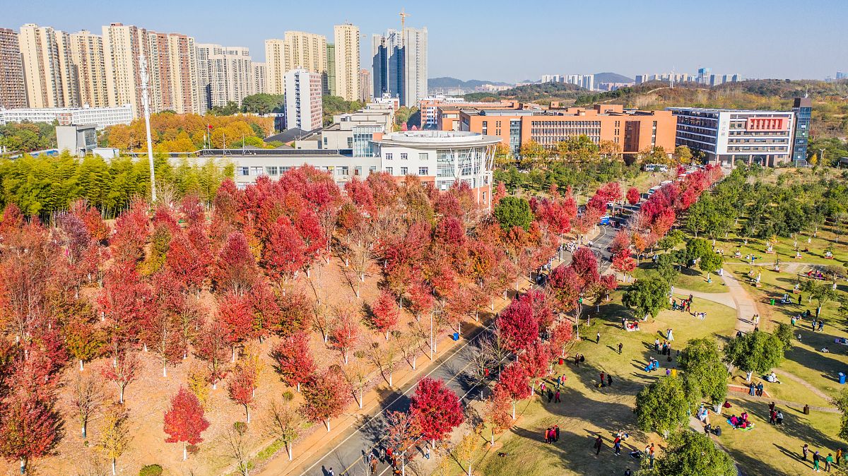 潍坊职业学院校园风光-好不好