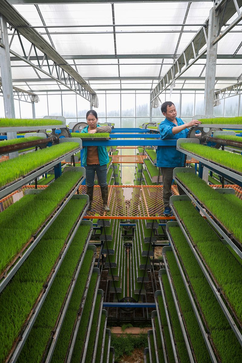 2023年江西农业工程职业学院是本科还是专科？ - 未来发展方向解析