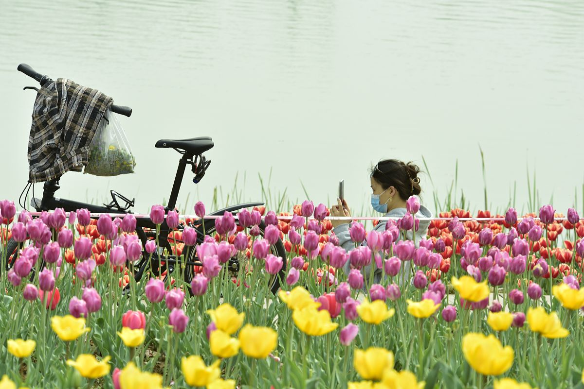 合肥中专学校推荐：2022年读哪所好？