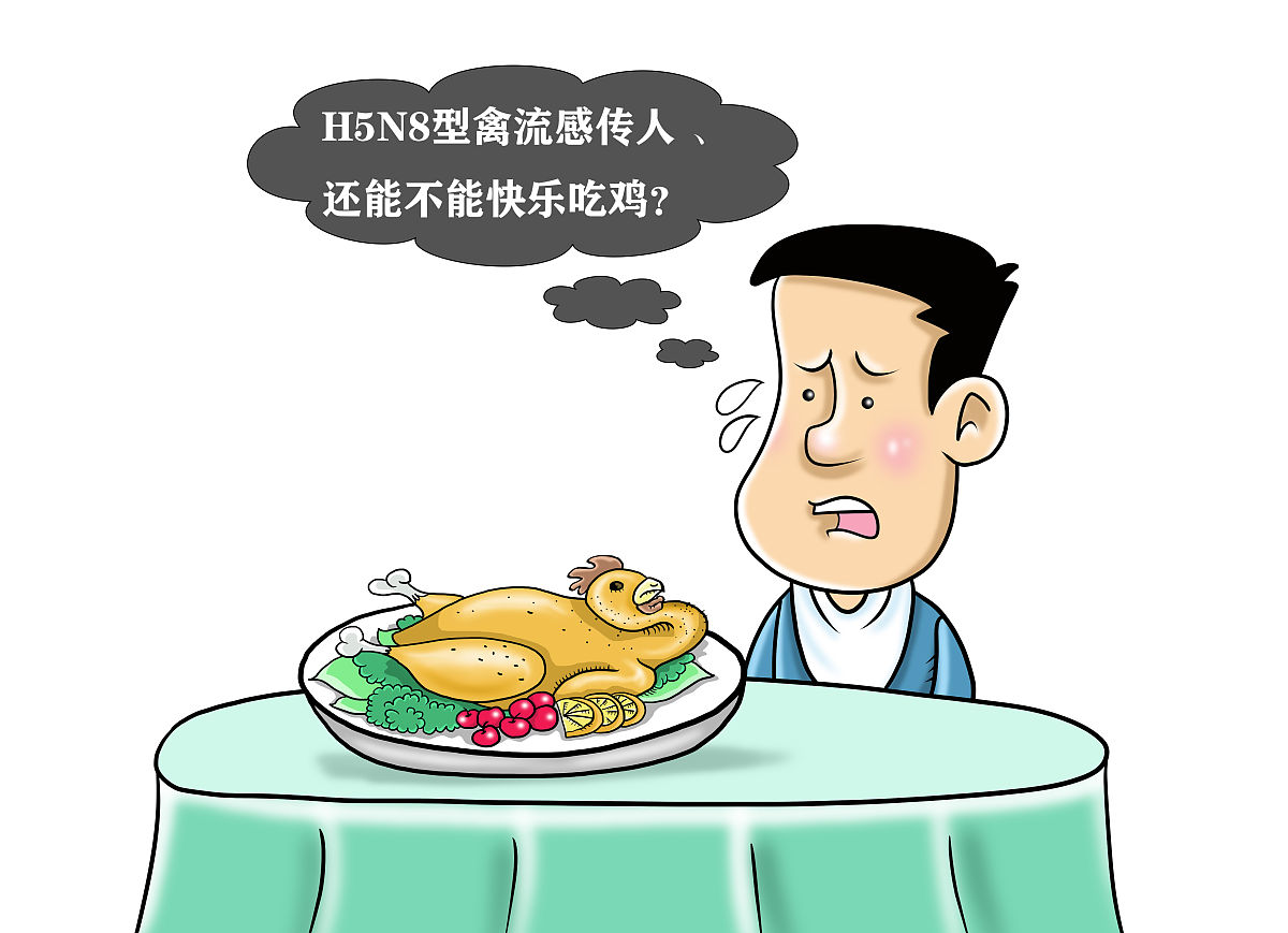 漫画:h5n8型禽流感传人 还能<strong>不</strong>能快乐吃鸡?