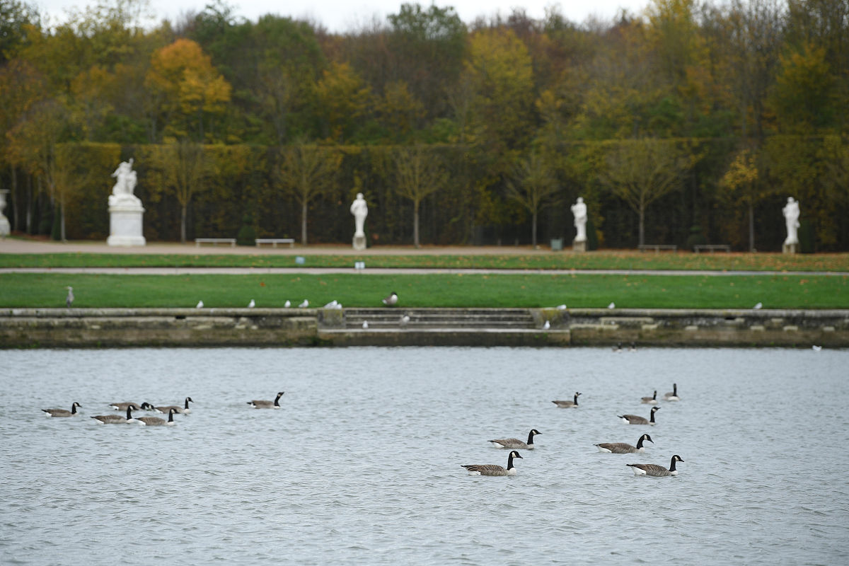 2020高三开学时间