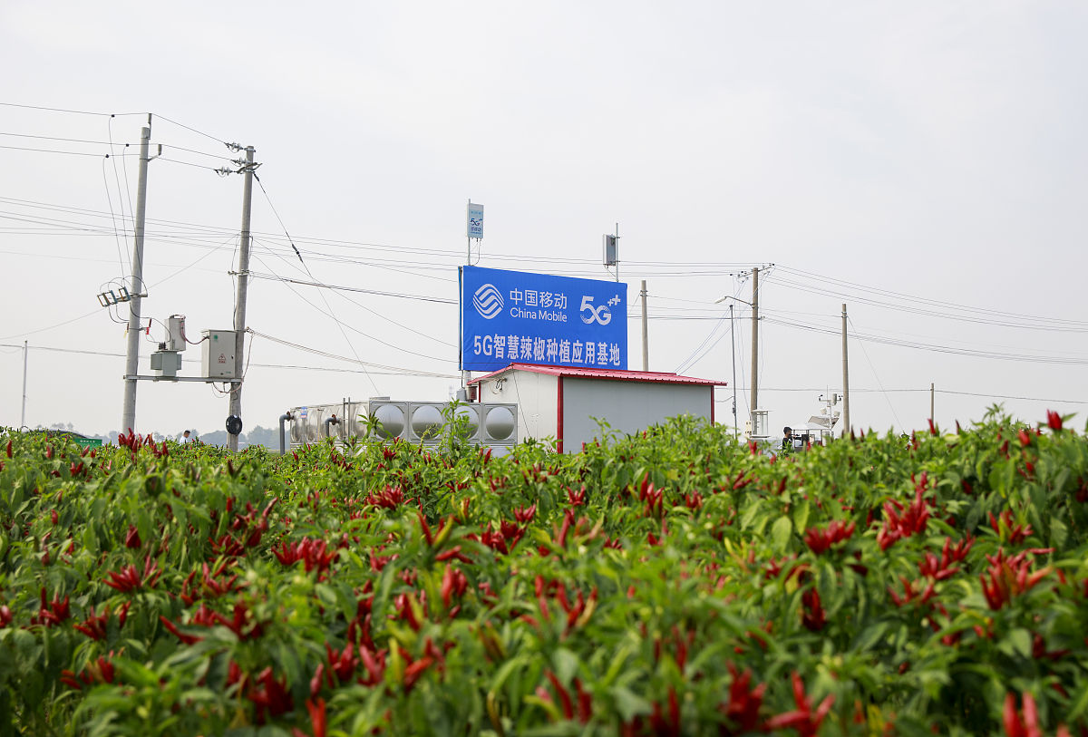 如何评价一个系统的智能化等级？