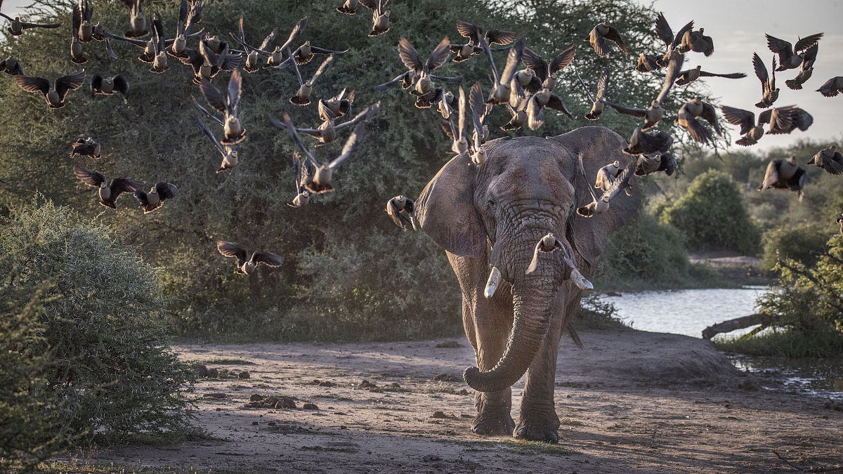 群聊：关于奶妈血量和角色培养的讨论