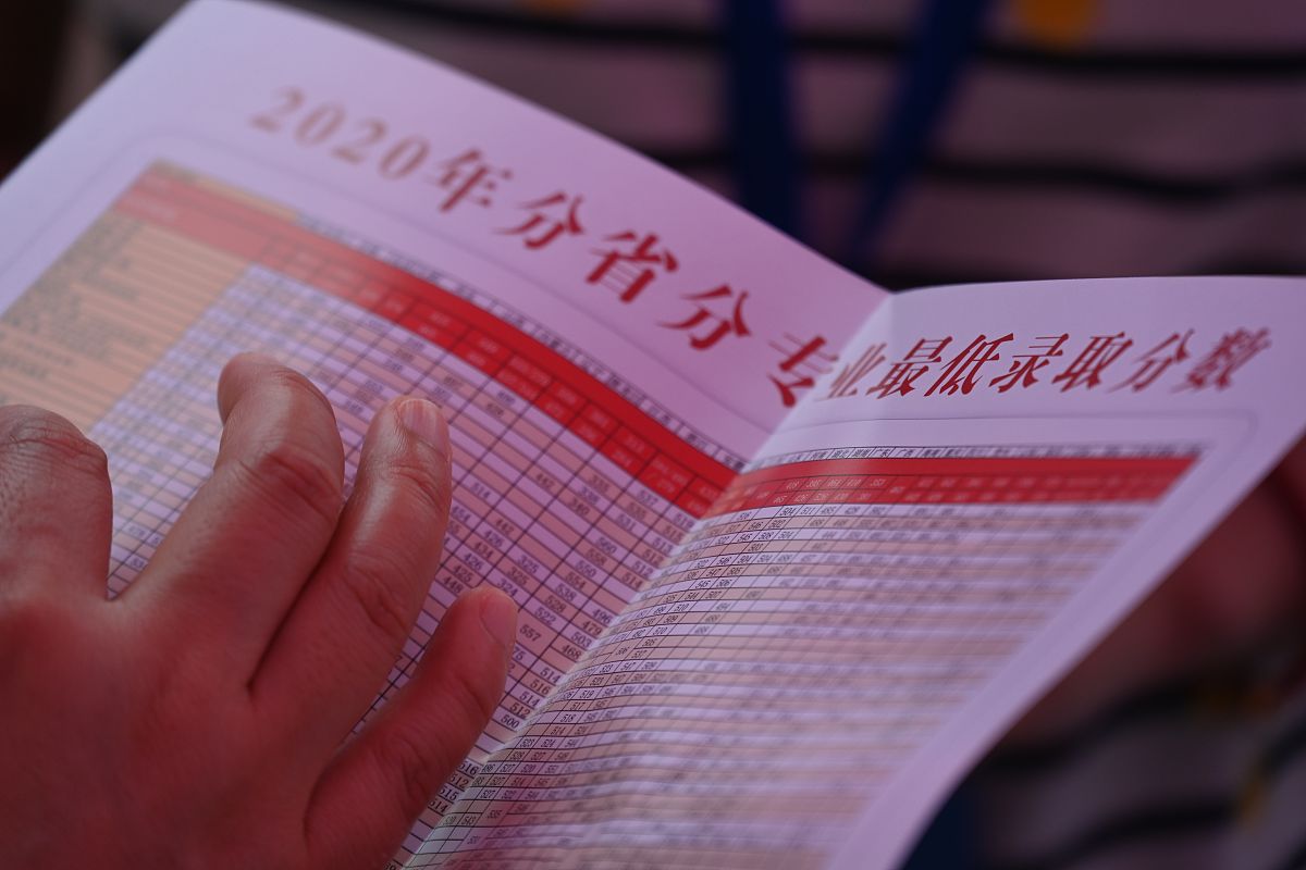 遵守手册政策和修改的责任