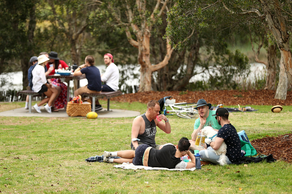 疫苗研发实习报告：团队合作、细致与安全，为人类健康贡献力量