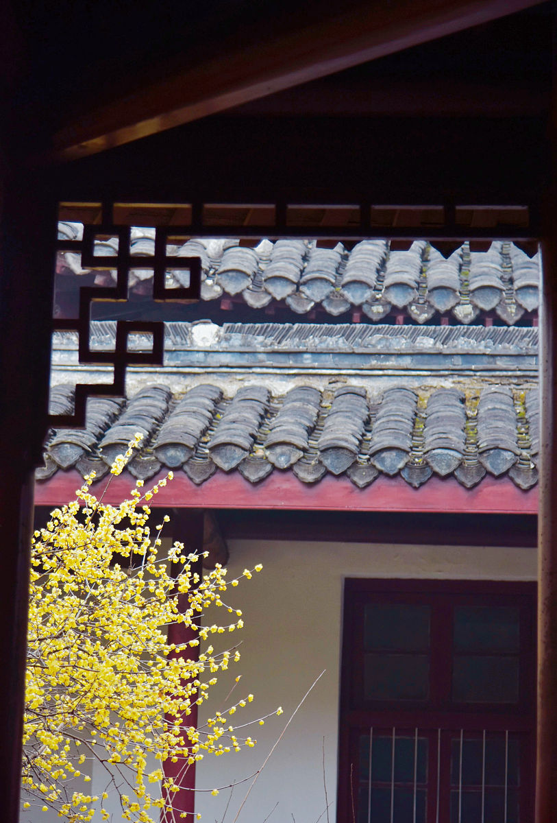 贵州商业高等专科学校物业管理专业有5年制大专吗？