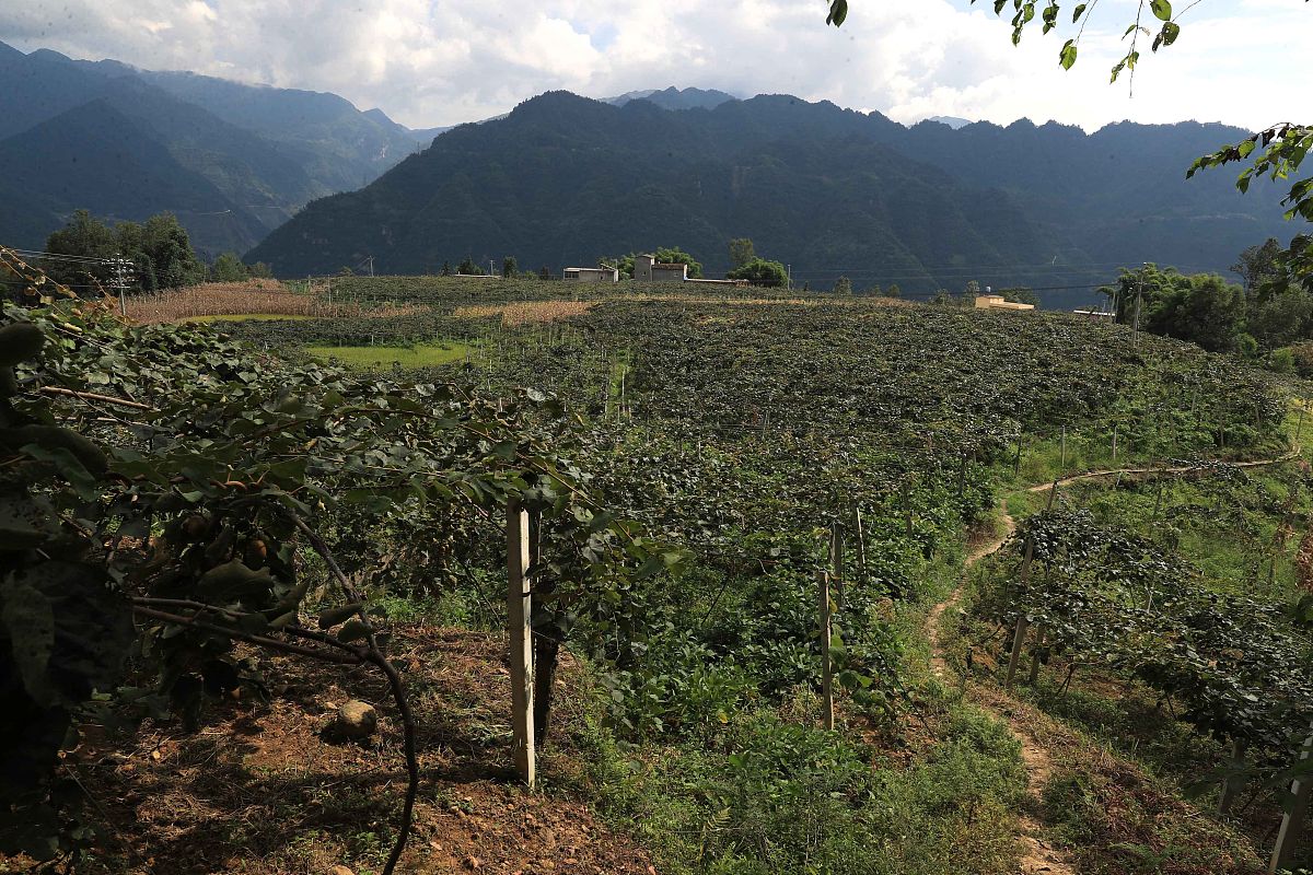 XXX市2021年度集体经济强村工程项目审计评价意见