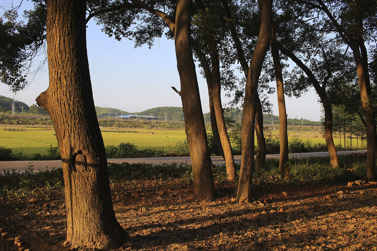 广西物资学校市场营销专业就业前途大不大