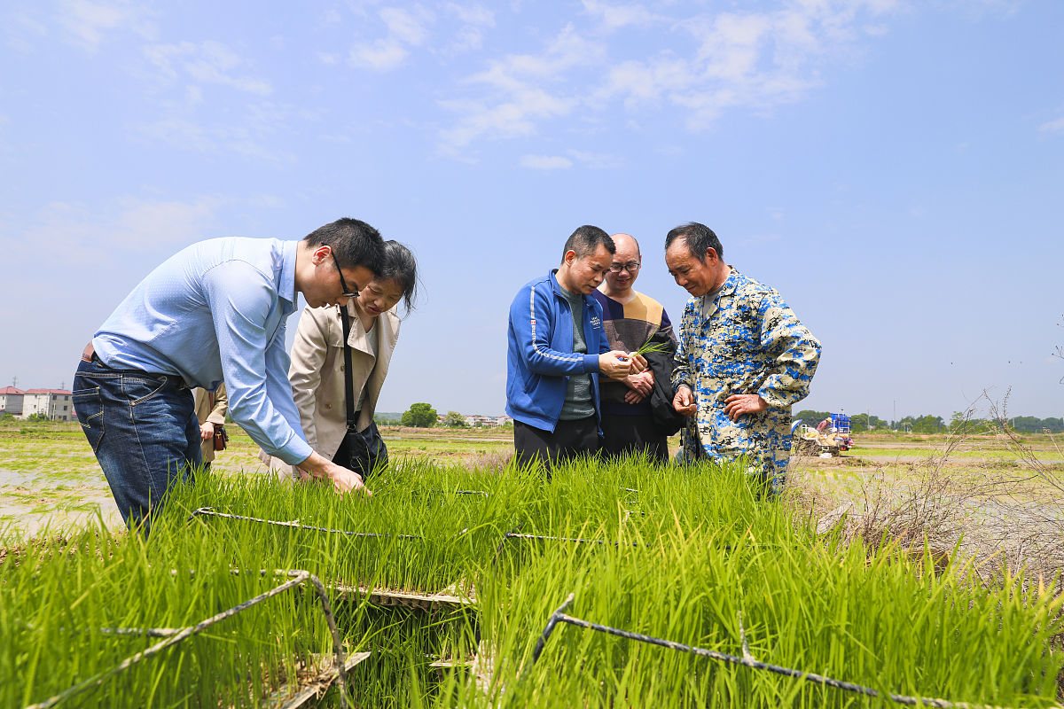 南充2022年中专卫校升大专