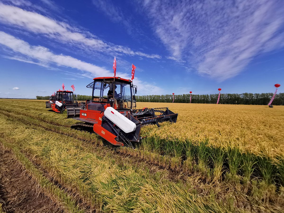 黑龙江农垦职业学院信息化管理专业就业前景广阔，毕业生选择多