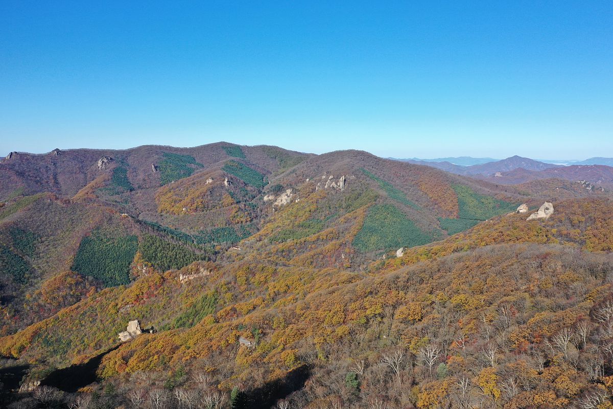 2021年10月12日,辽宁丹东,宽甸满族自治县天桥沟森林公园景区枫叶.