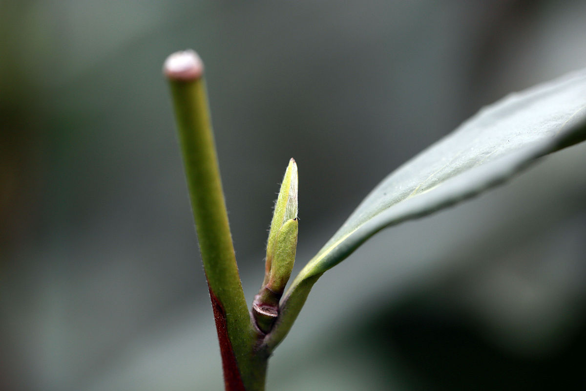 云南大理农业学校2022年招生简章