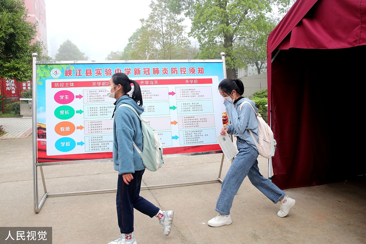 校园除四害工作总结及未来展望