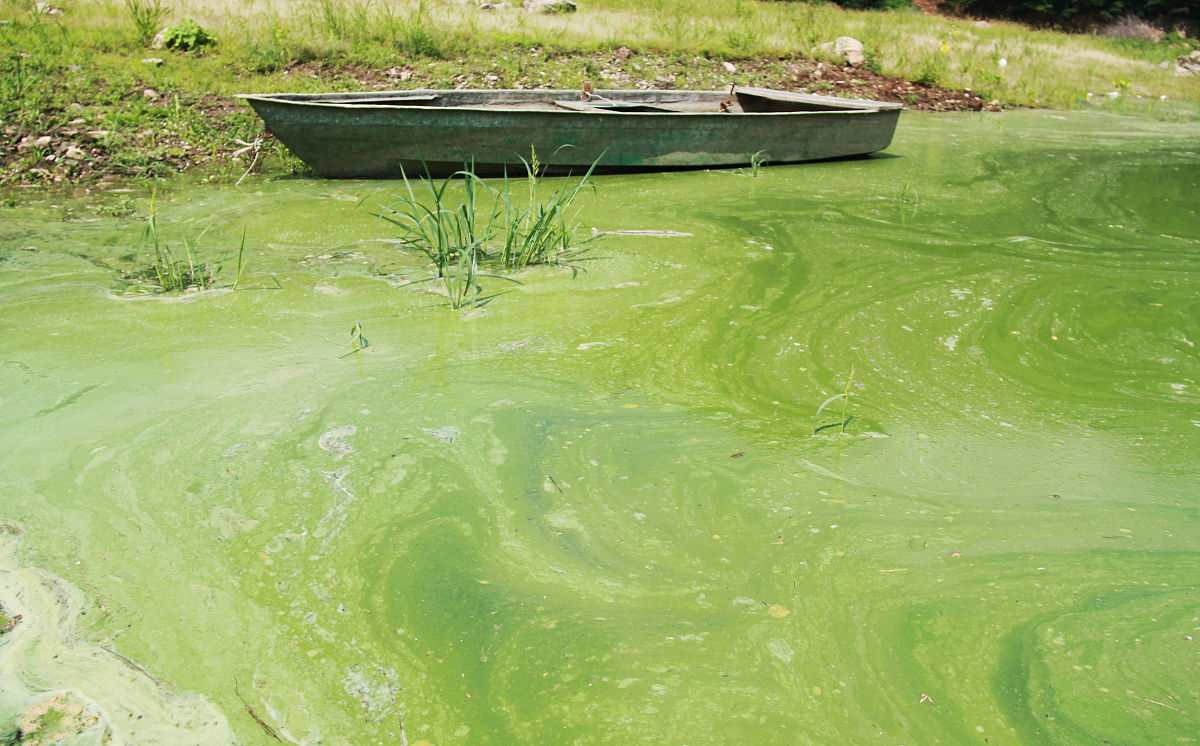 改善空气、水、土壤环境：每个人都可参与的行动
