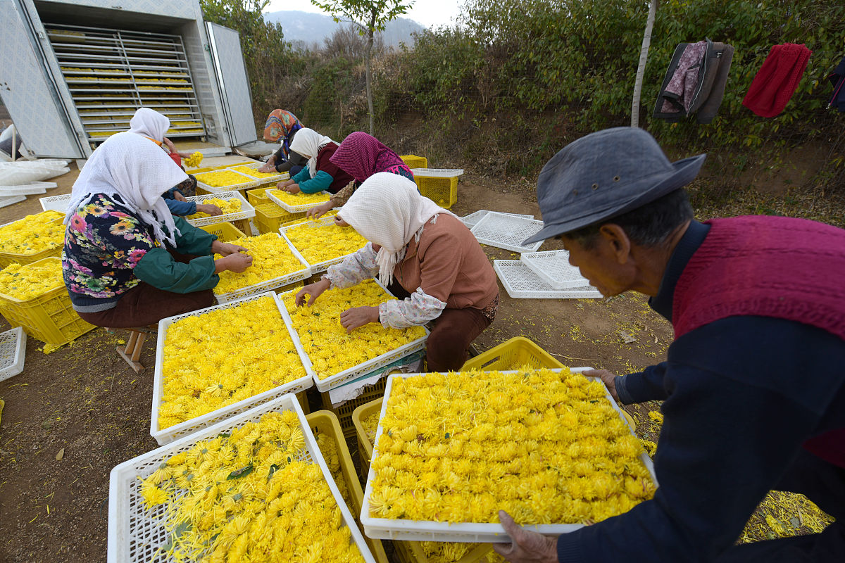 山东药材技工学校2023年专业设置：实用性强，就业前景好