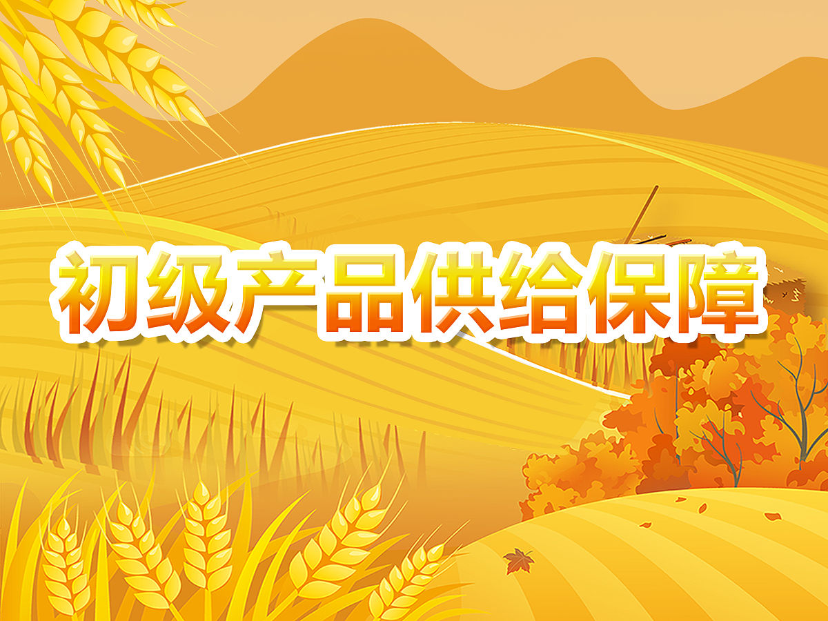 初级产品定义：入门级选择，价格亲民，功能简易