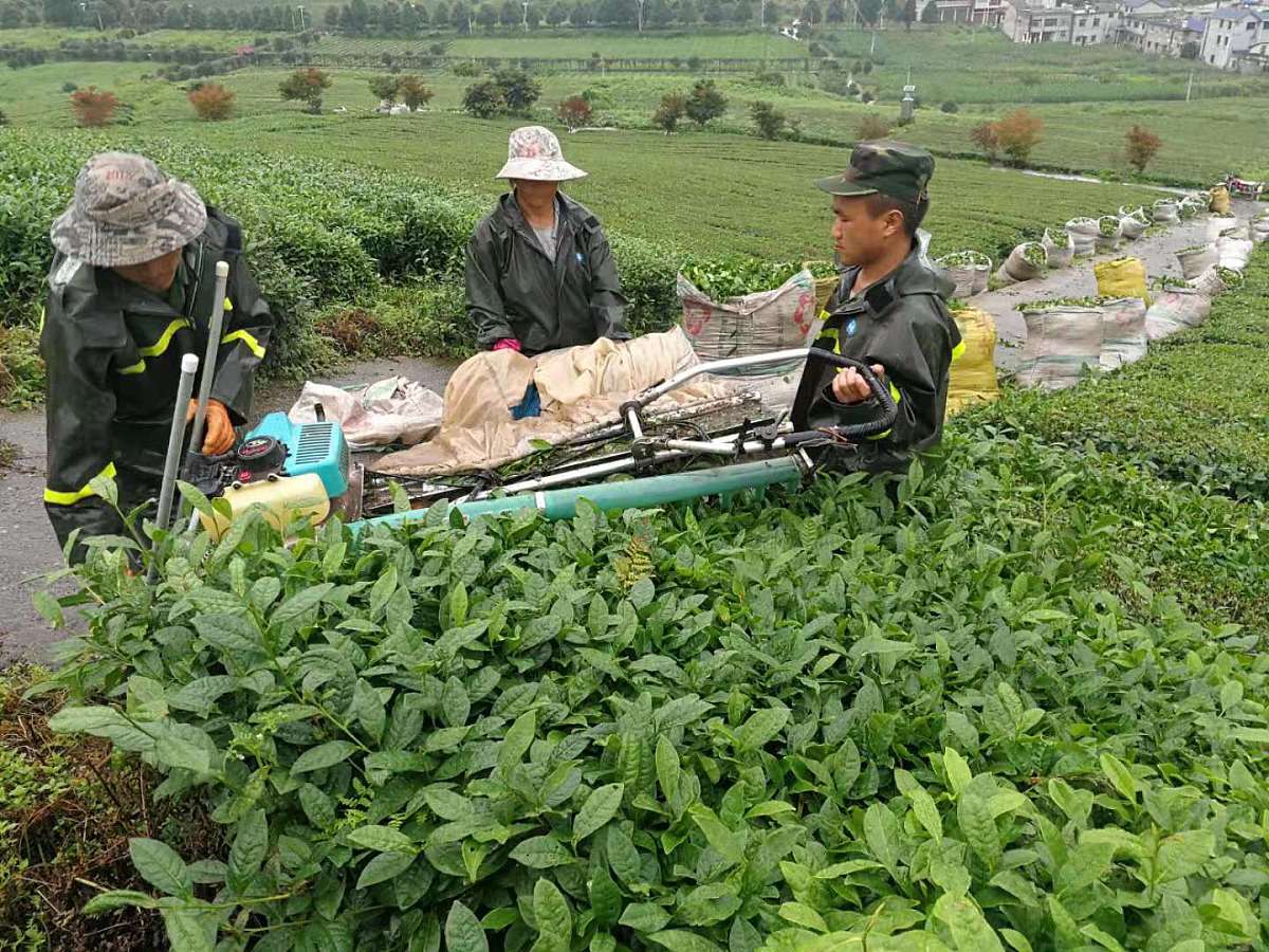 贵州2023年男生中专读什么专业好