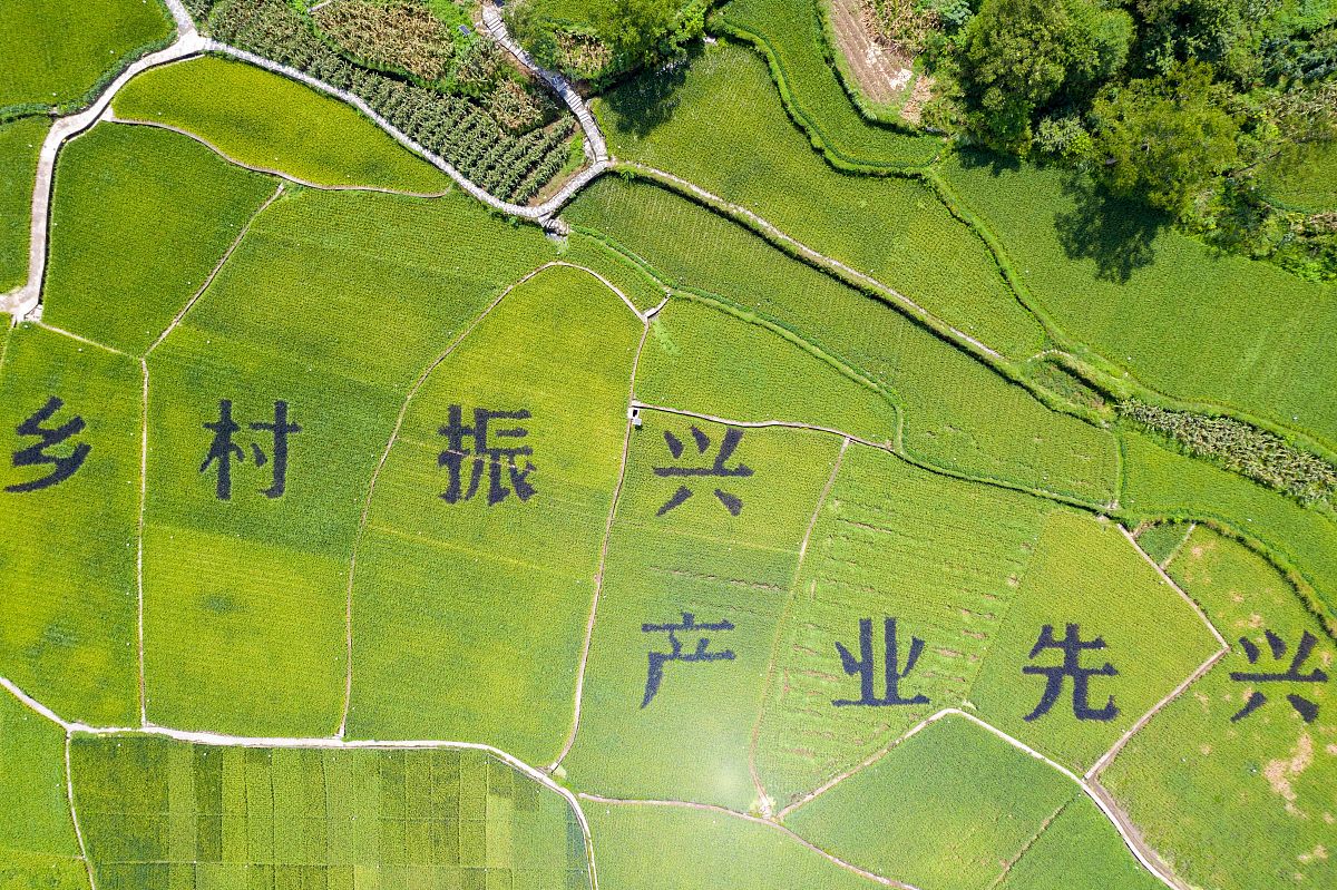 申论考试关键词解析：高频词、概括词、专有名词