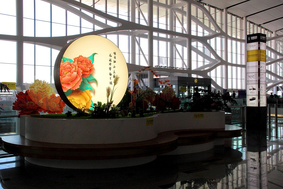 一元机场：低价航空的理想选择