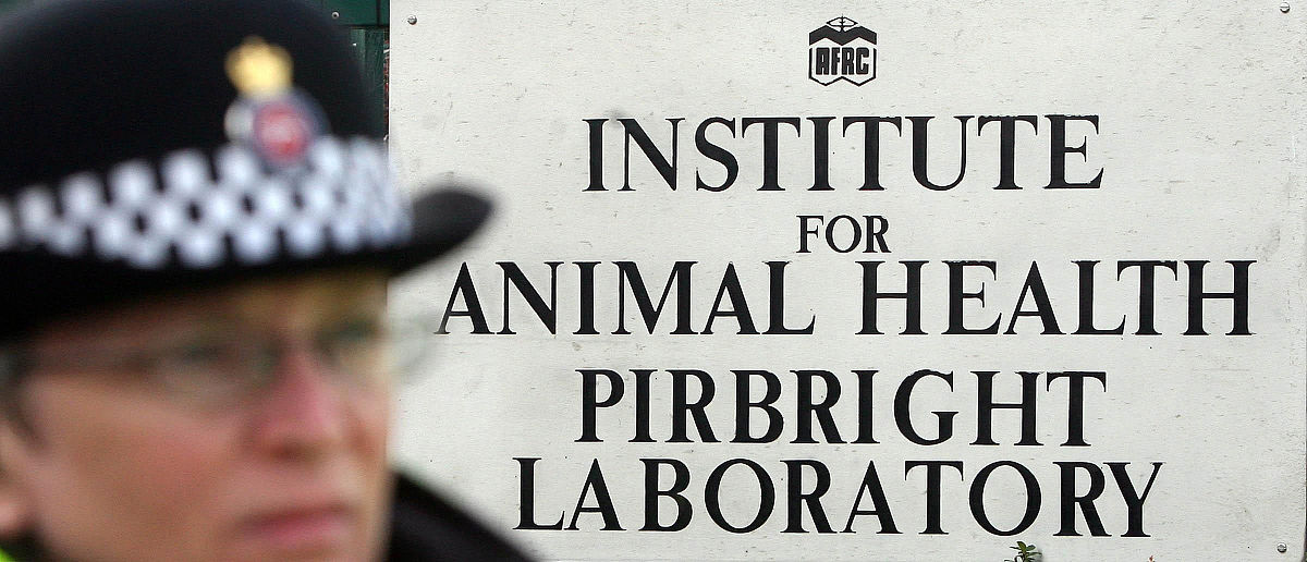 拉康视角下的女权主义极端言论：主体性、符号与性别差异