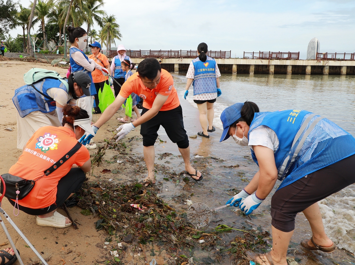 海滩清洁行动：社会实践报告 - 守护海洋环境