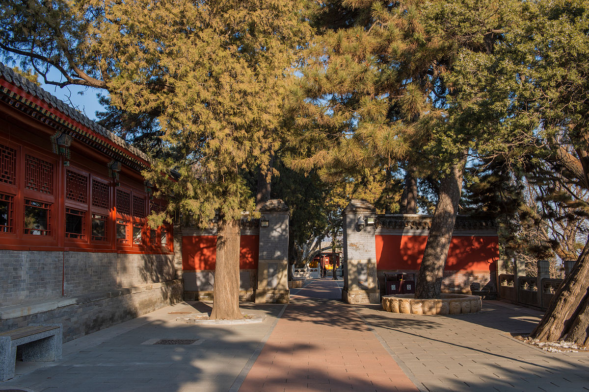 2019年12月7月,北京戒台寺,中国北方保存辽代文物最多,最完整的寺院.