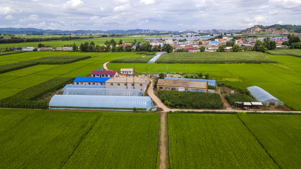 发展畜牧业：部分村庄的致富之路