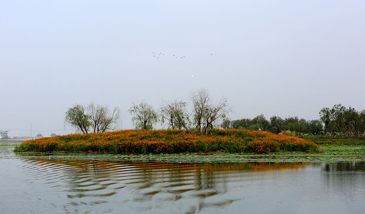 泰兴虹桥长江生态湿地公园