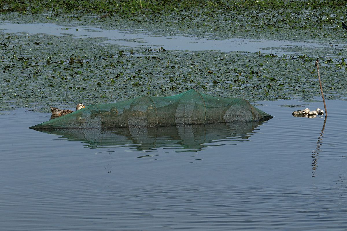 黑龙江农业职业技术学院工程造价专业怎么样？课程设置解析
