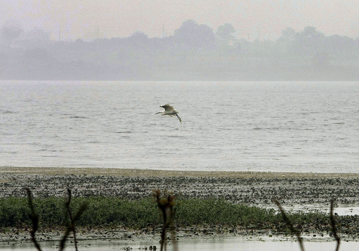 辽宁林业职业技术学院五年制大专有药剂专业吗