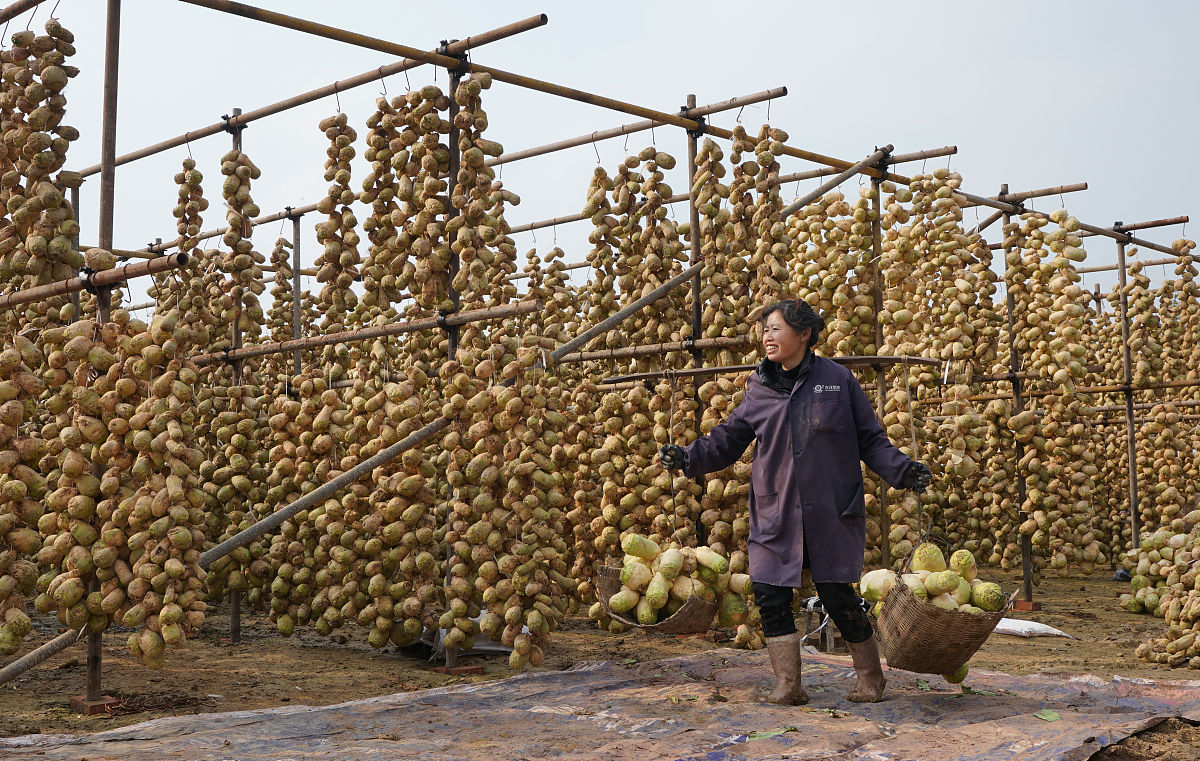 自贡旭江职业技术学校2022年招生条件及报名流程