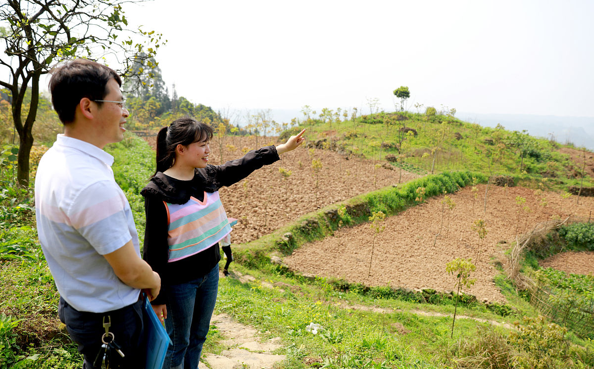 鸡窝渡村的土地规划的调查实习报告三千字左右